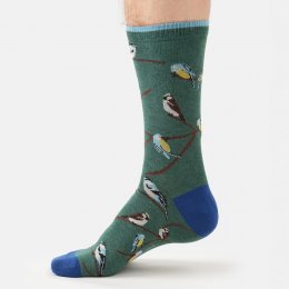 Thought British Birds Organic Cotton Crew Socks - Fern Green - UK 7-11