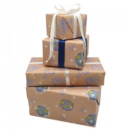 Amnesty Peace on Earth Christmas Wrap - 6 Sheets