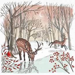 Transform Trade Over the Fields Charity Christmas Cards - Pack of 20