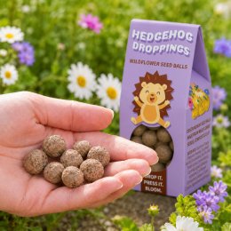 Hedgehog Droppings Wildflower Seed Ball Kit