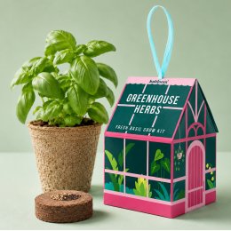 Hanging Grow Kit Gift Set - Greenhouse Herbs Basil
