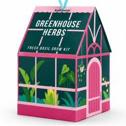 Hanging Grow Kit Gift Set - Greenhouse Herbs Basil