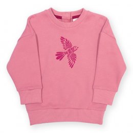 Kite Fortune Sweatshirt