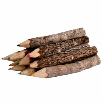 Eco-Friendly Natural Twig Coloured Pencils - Set Of 10
