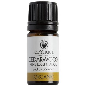 Odylique Organic Cedarwood Essential Oil - 5ml