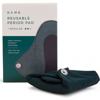 DAME Reusable Pad - Regular - 1 Pad