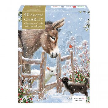 Charity Christmas Card Assortment - Box of 40