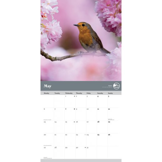 Calendars & Diaries Ethical Superstore