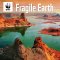 WWF Fragile Earth 2026 Wall Calendar
