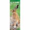 RSPB British Wildlife 2027 Slim Wall Calendar