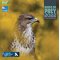 RSPB Birds of Prey 2022 Wall Calendar