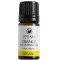 Odylique Organic Orange Essential Oil - 5ml