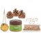 DIY Bird Food Pinecone