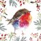 Transform Trade Fluffy Robin Charity Christmas Cards - Pack of 10