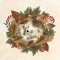 Amnesty International Christmas Cards - Little Hedgehog - Pack of 10