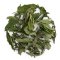 Seilich Peppermint Loose Leaf Tea - Refill Bag - 25g