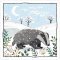 Amnesty International Christmas Cards - Ms Badger - Pack of 10