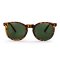 CHPO Toro Recycled Sunglasses - Turtle Brown/Green