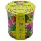 Seedball Wildflower Grow Kit - Forget-Me-Not