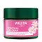 Weleda Smoothing Day Cream - Wild Rose & White Tea - 40ml