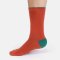 Thought Modal Tipped Crew Socks - Brick Red - UK 7-11