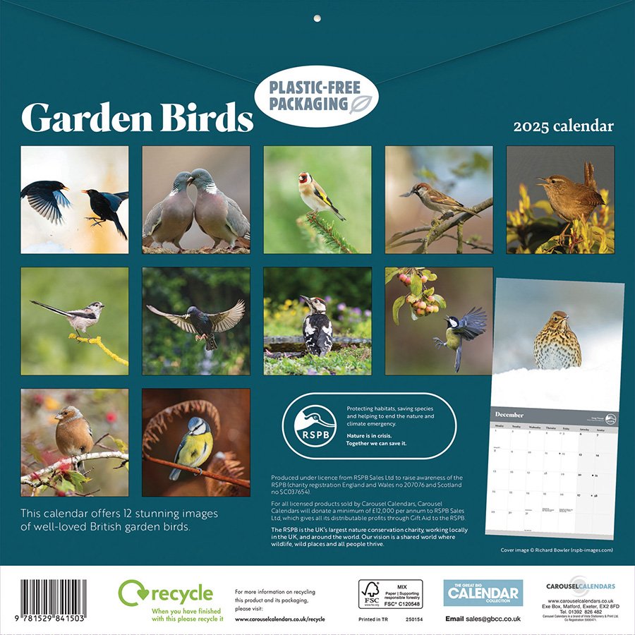 RSPB Garden Birds 2025 Wall Calendar - Natural Collection Select
