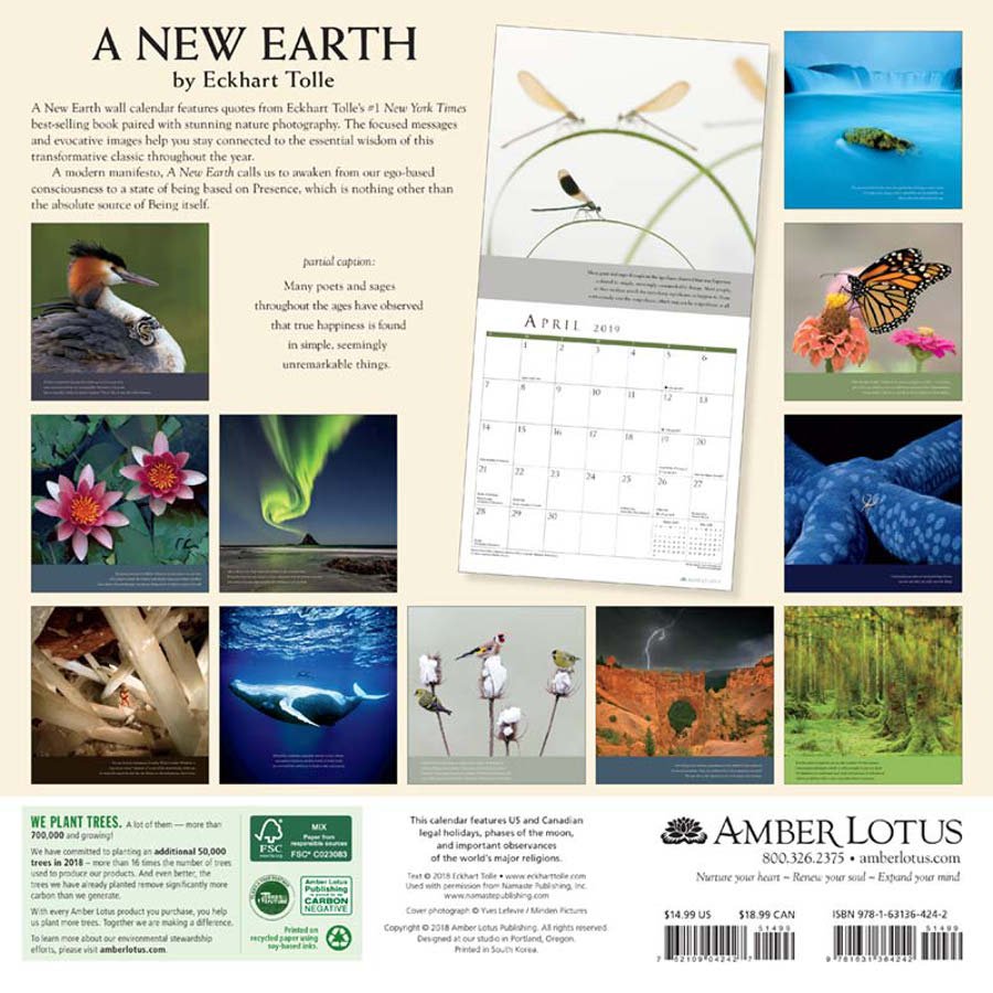 A New Earth 2019 Wall Calendar Amber Lotus