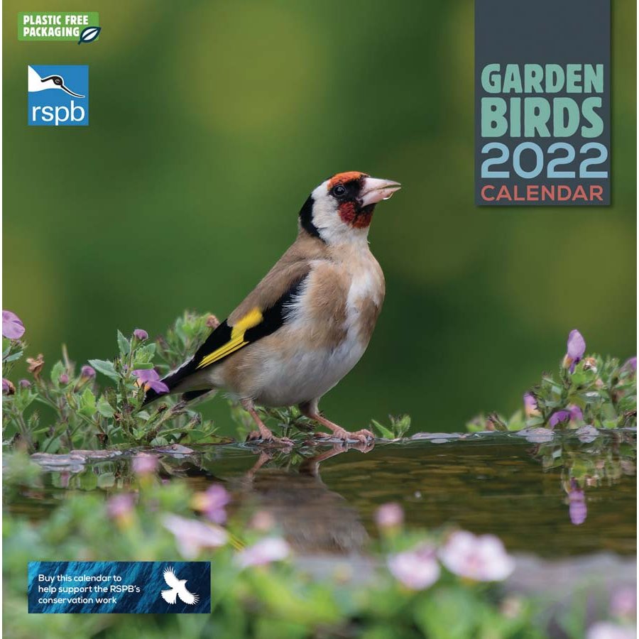 RSPB British Garden Birds 2022 Wall Calendar RSPB