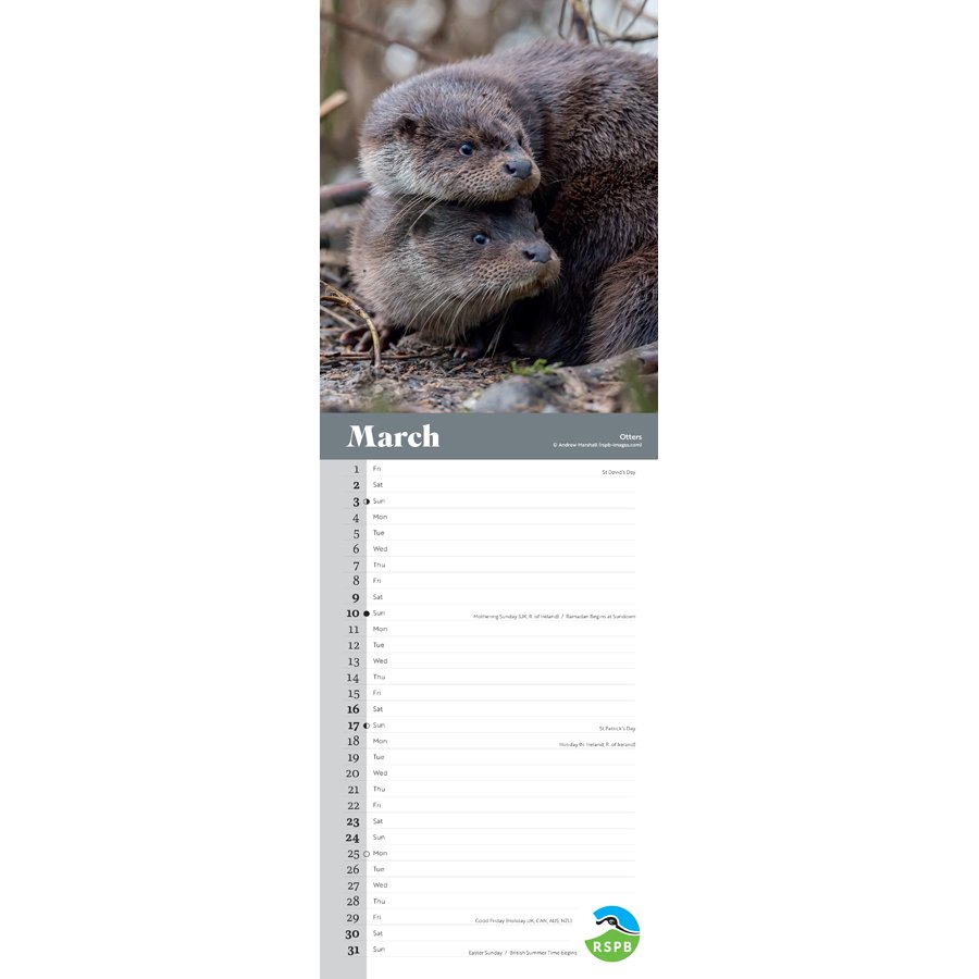 RSPB British Wildlife 2024 Slim Wall Calendar RSPB