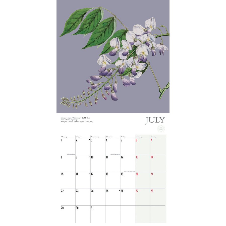 RBG Kew Botanicals 2019 Wall Calendar - RBG