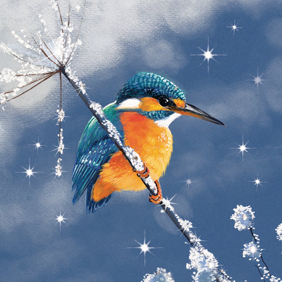 RSPB Sparkling Kingfisher Christmas Cards RSPB