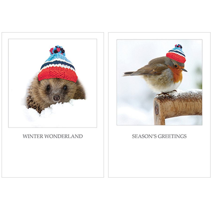 Help for Heroes Cosy Christmas Cards 10pk - Help for Heroes