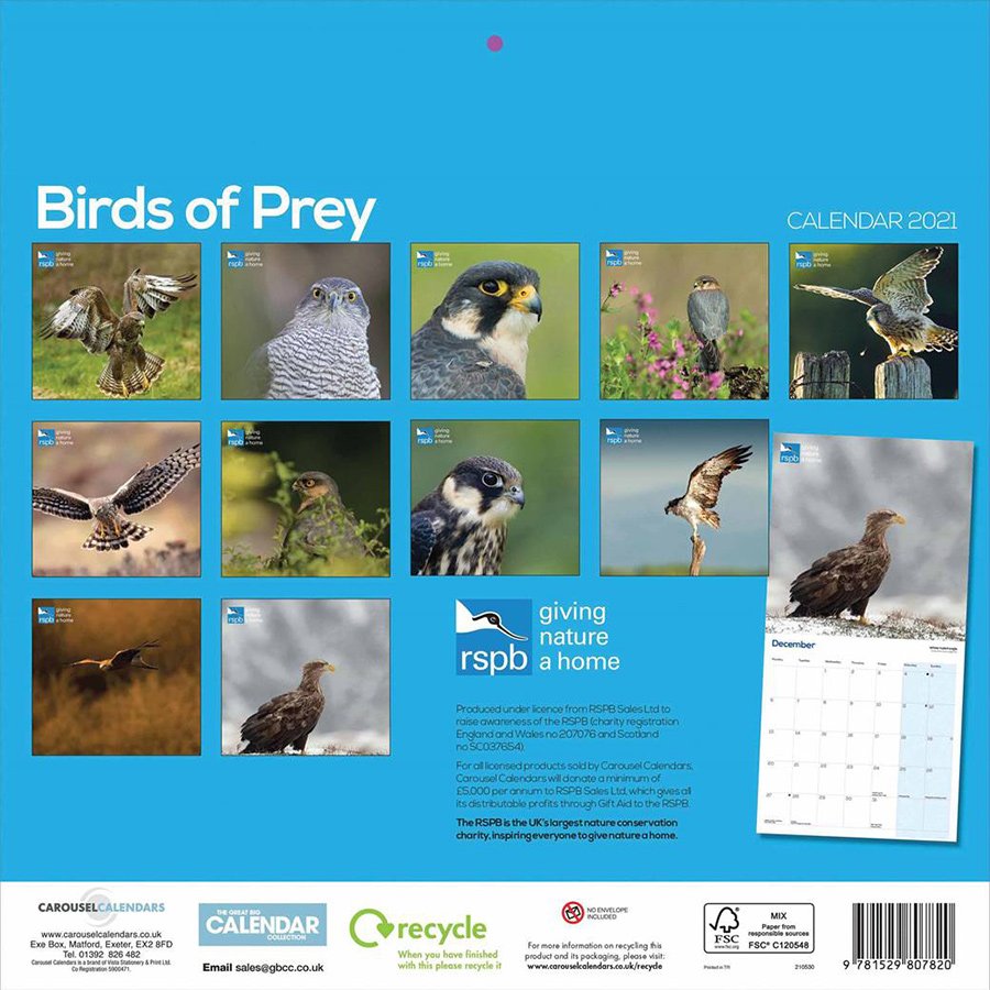 RSPB Birds of Prey 2022 Wall Calendar RSPB