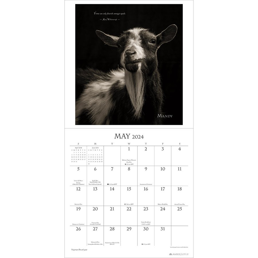 I Am Goat 2025 Wall Calendar Amber Lotus