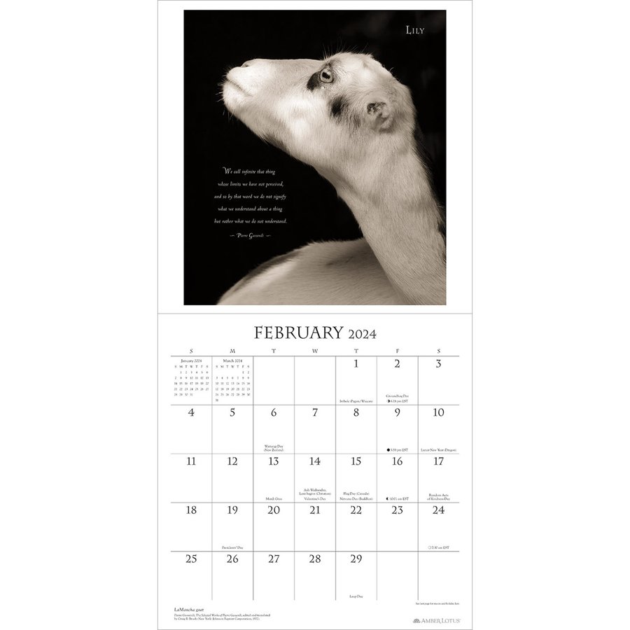 I Am Goat 2025 Wall Calendar Amber Lotus