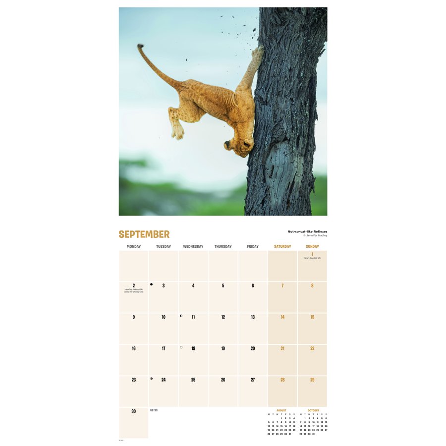 Comedy Wildlife Photography Awards 2024 Wall Calendar Natural