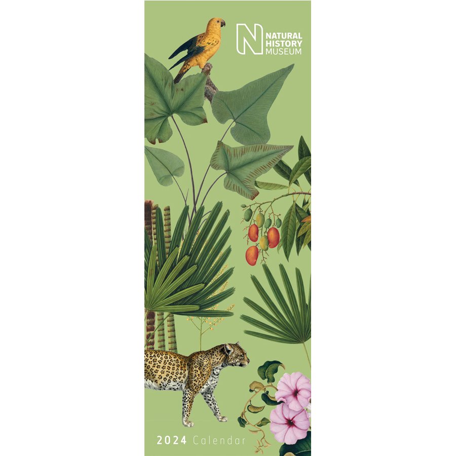 Natural History Museum Botanical 2024 Slim Wall Calendar Natural   581135 Natural History Museum Botanical 2024 Slim Wall Calendar 1 