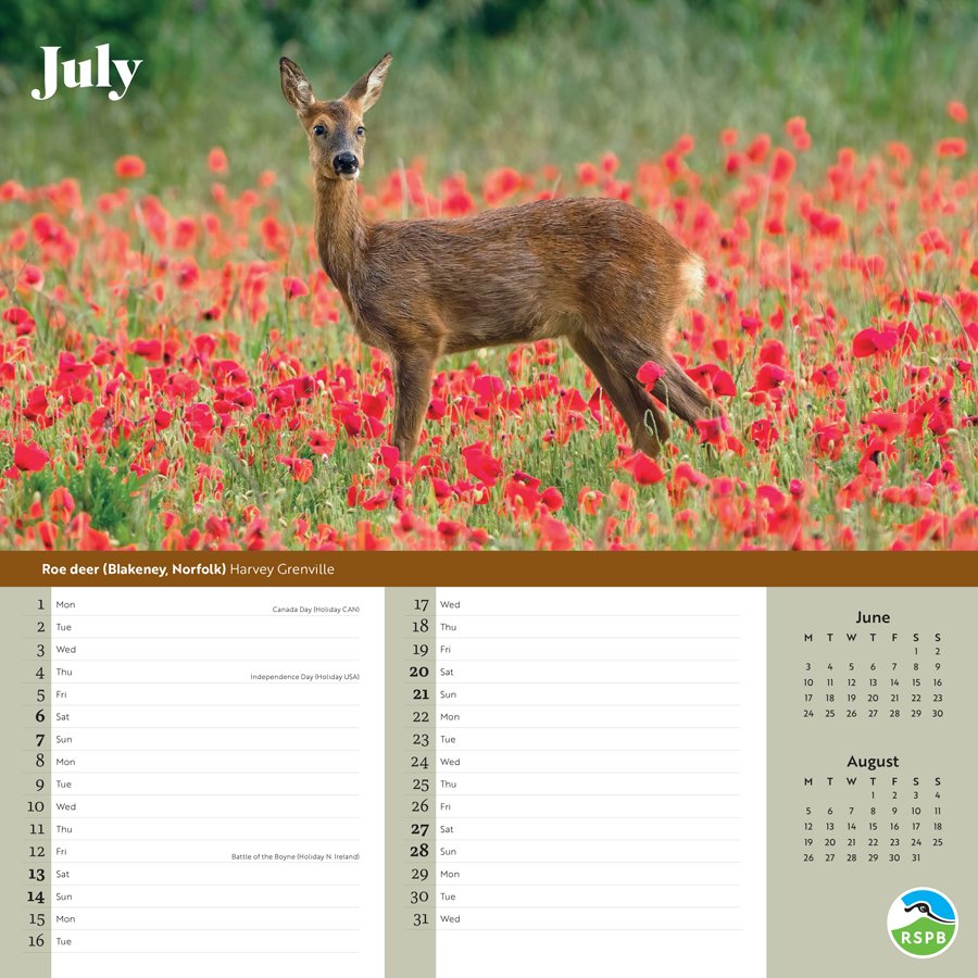 RSPB Inspiring Nature 2024 Wall Calendar RSPB