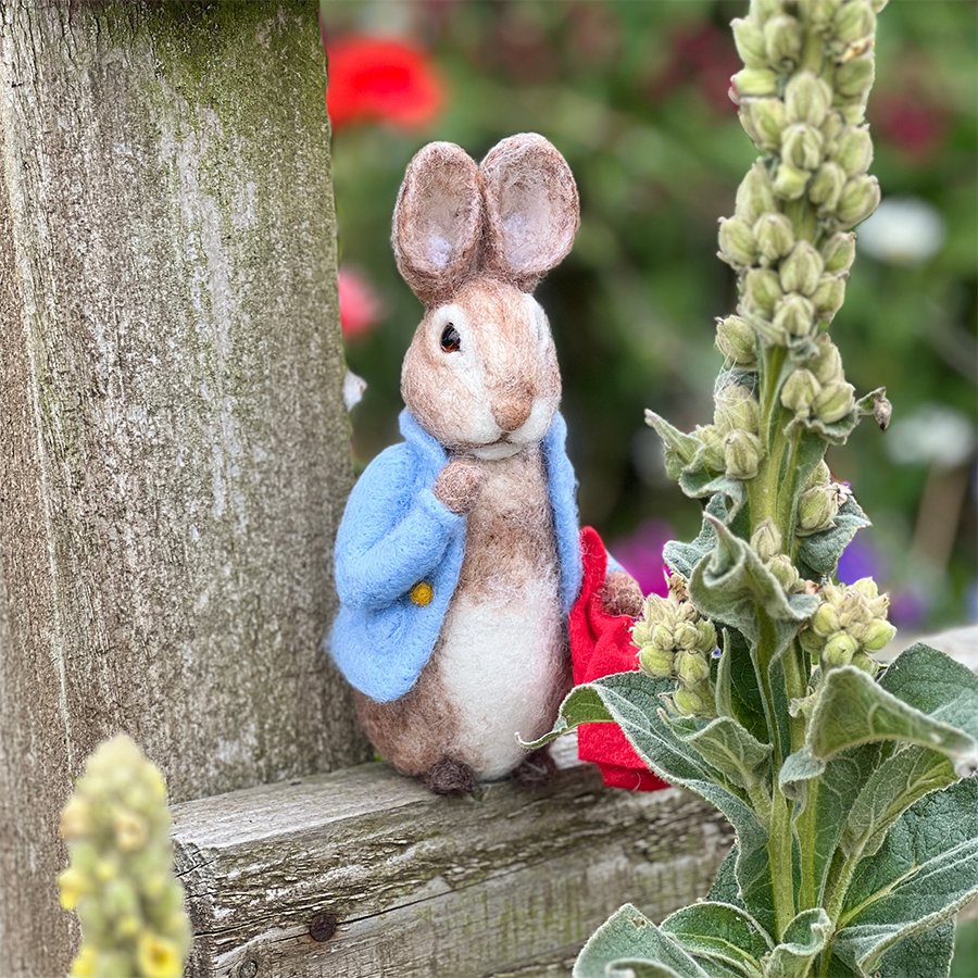 Peter Rabbit Felt Pattern Beatrix Potter Needle Felt Craft Kit - Peter Rabbit - The Crafty Kit ...